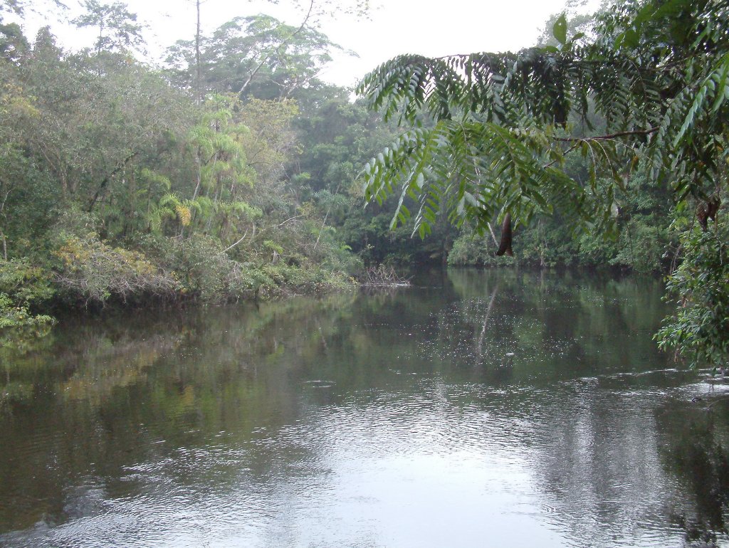 03-The Rio Cuyabena.jpg - The Rio Cuyabena